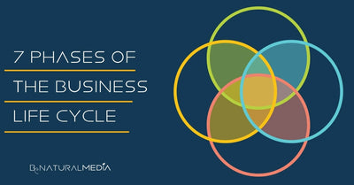 7 Phases Of The Business Life Cycle: Where Is Your Brand?